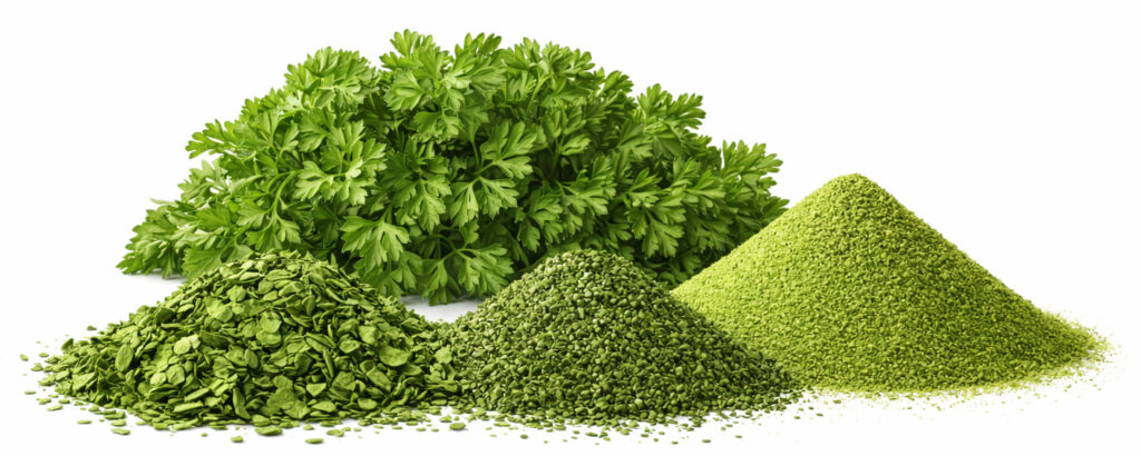 8 - PARSLEY