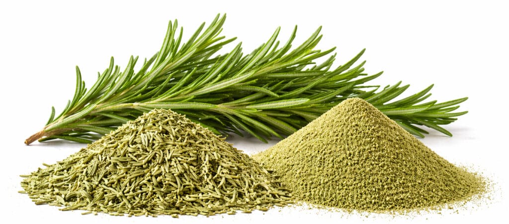 9 - ROSEMARY