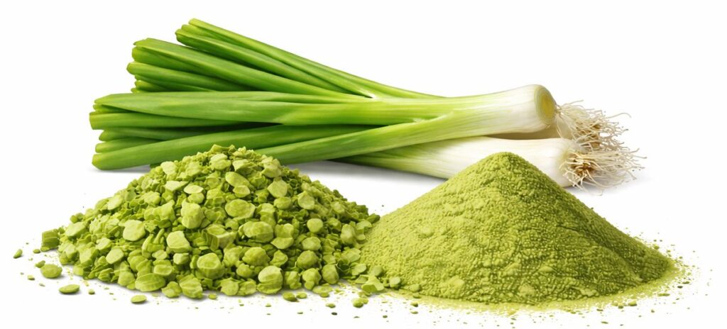 Green onion
